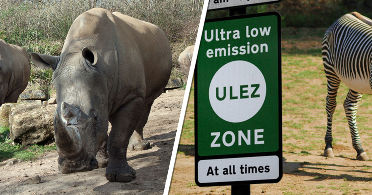 Chessington Enters the ULEZ