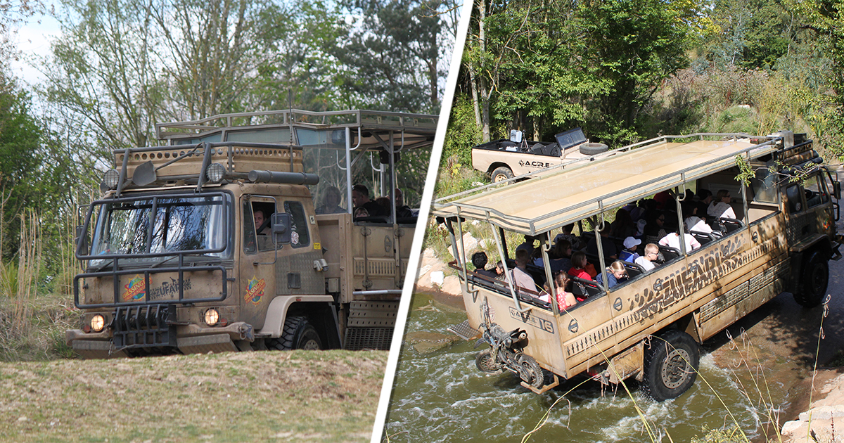 Could Jumanji Ride Into Africa?