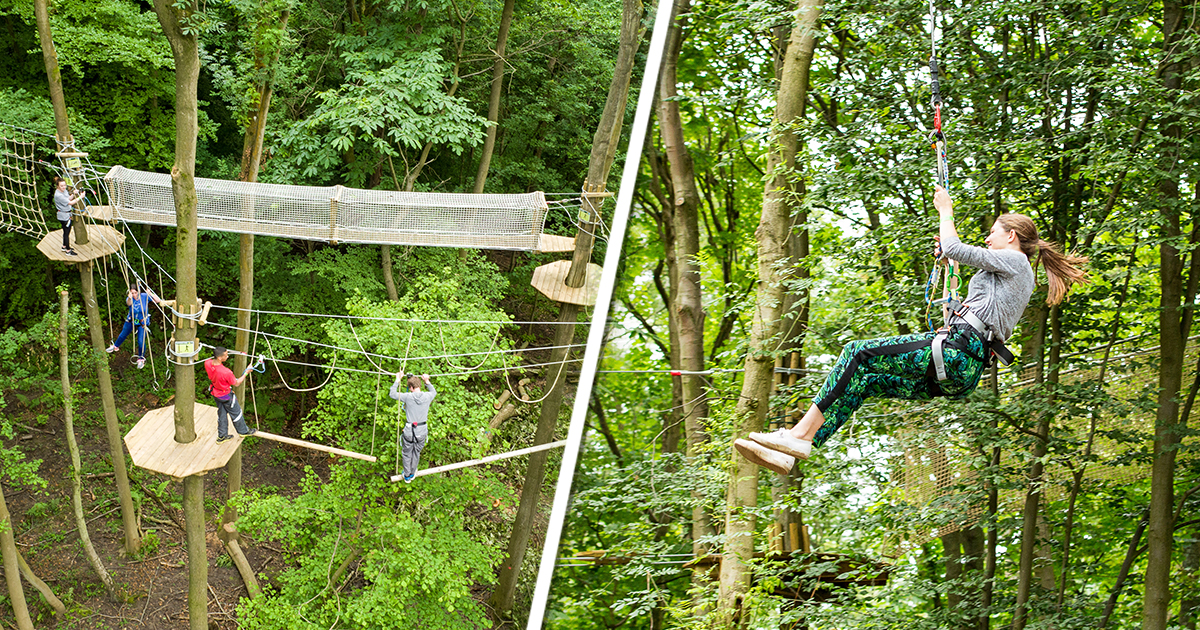 Go Ape At Chessington Reopens