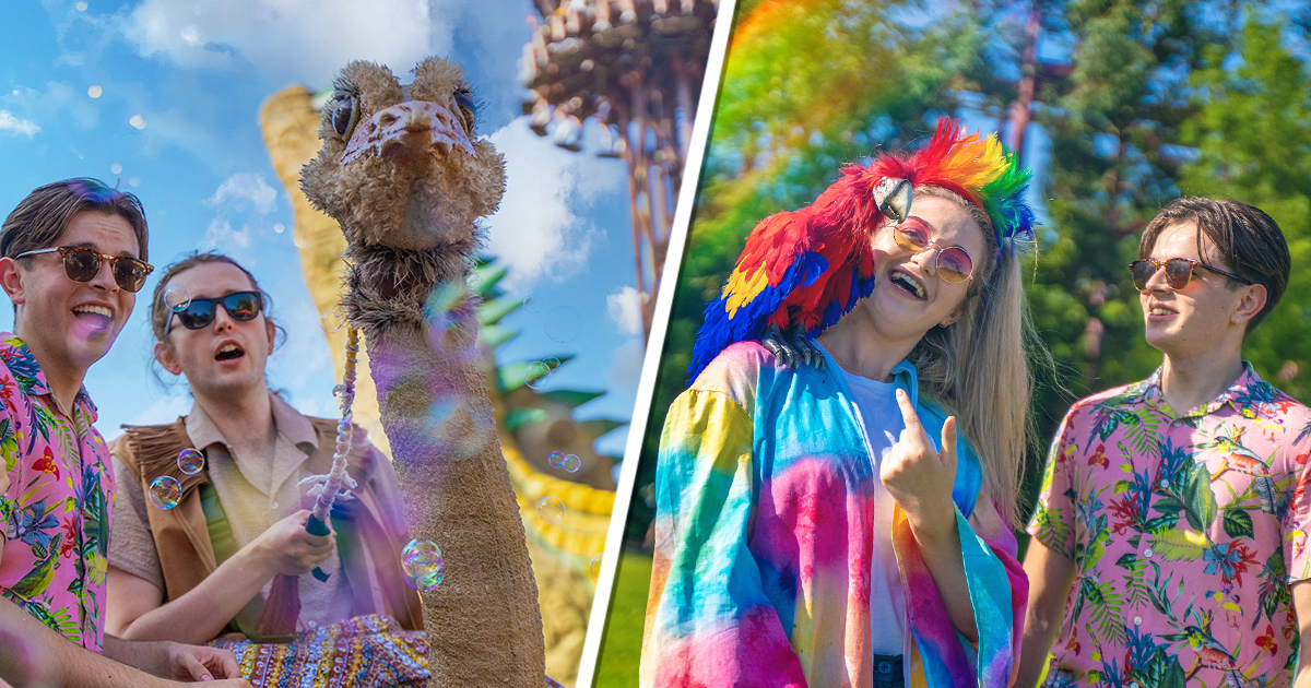 Go ‘Wilderfest’ This Summer