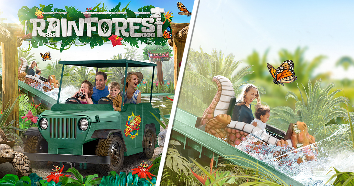 New For 2020: The Rainforest