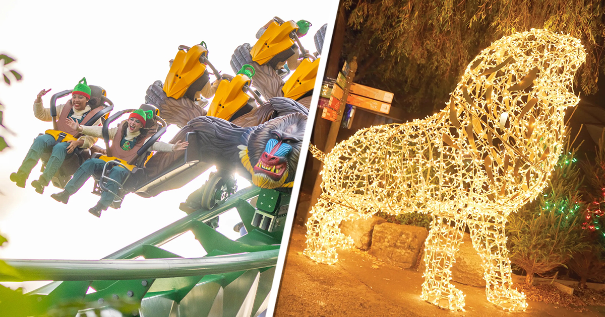 Winter’s Tail 2023 Lineup Unveiled